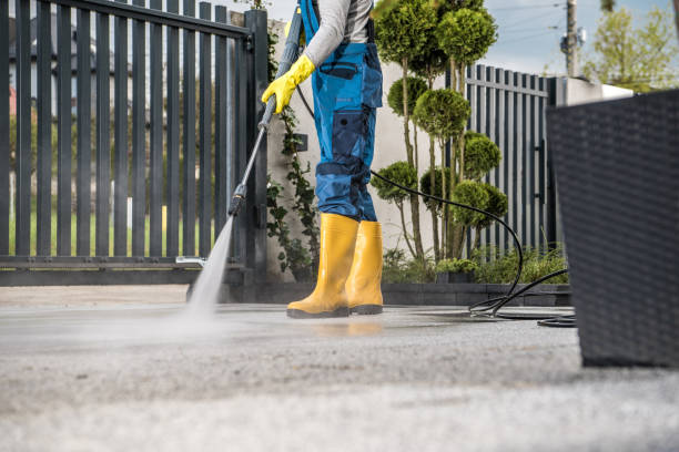 Best Soft Washing  in Tornillo, TX